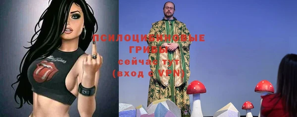стафф Богородск