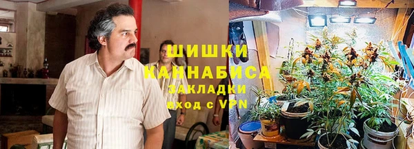 стафф Богородск