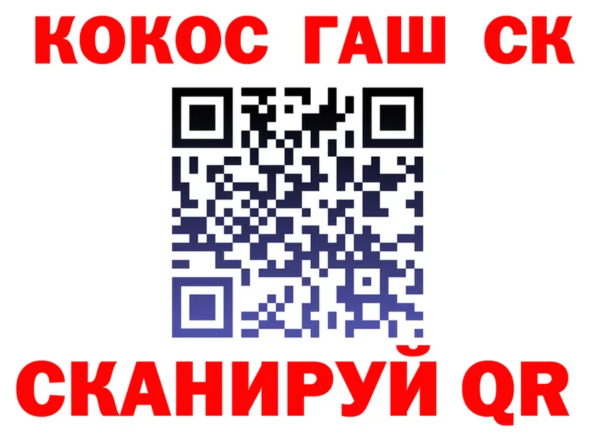 Альфа ПВП СК КРИС ТОР площадка гидра Кизилюрт