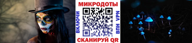 Псилоцибиновые грибы Cubensis  Кизилюрт 